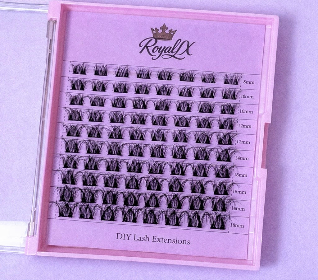 Royalty DIY Lash Kit
